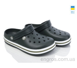 Кроксы Golden Lion